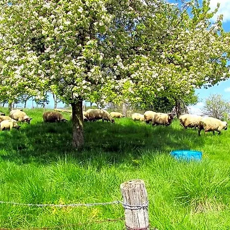 Bed & Breakfast La Taniere Douce