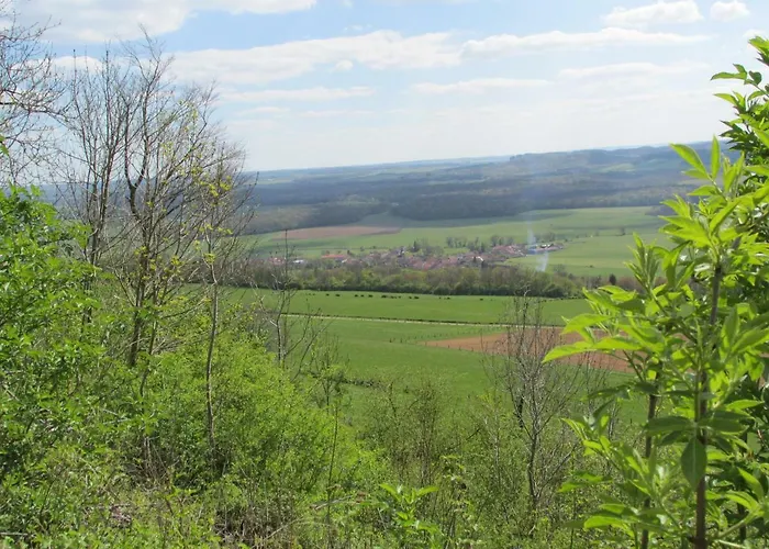 Bed & Breakfast La Taniere Douce Soulaucourt-sur-Mouzon