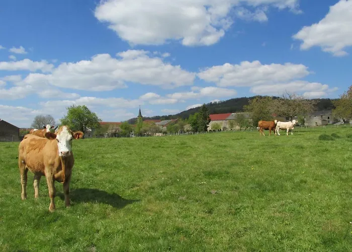 La Taniere Douce Soulaucourt-sur-Mouzon